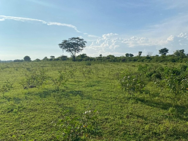 31-acres-land-for-sale-in-mattala-big-2
