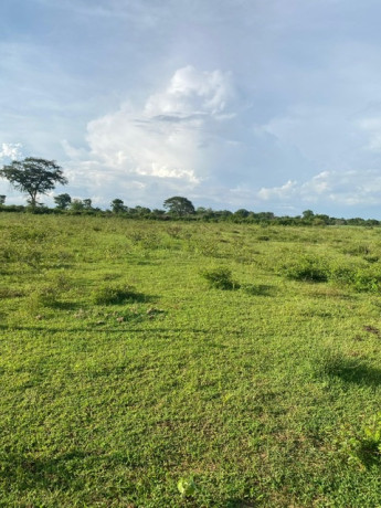 31-acres-land-for-sale-in-mattala-big-3