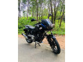 bajaj-pulsar-180-2011-small-2