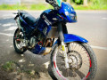 kawasaki-kle-250-small-0