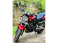 honda-hornet-ch150-f7-2015-small-1