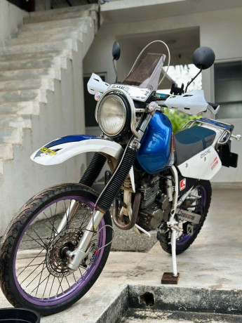 suzuki-djebel-250-gps-2008-big-2