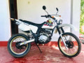 honda-xlr-125-small-2