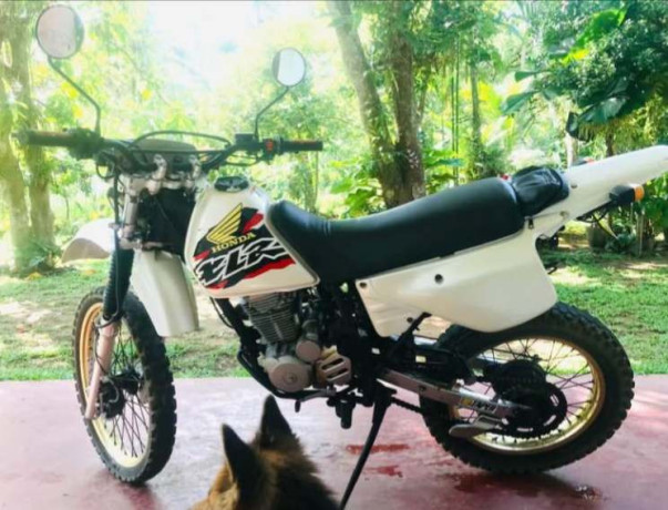 honda-xlr-125-big-4
