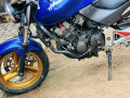 honda-hornet-ch115-unregistered-small-2