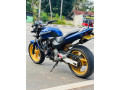 honda-hornet-250-2016-small-3