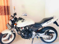 honda-hornet-ch115-2015-small-0