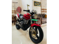 honda-hornet-ch110-2015-small-3