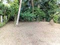 perch-21-land-for-sale-in-ragama-small-3