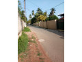 perch-21-land-for-sale-in-ragama-small-1