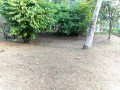 perch-21-land-for-sale-in-ragama-small-2