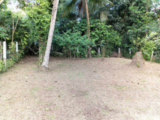 perch-21-land-for-sale-in-ragama