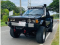 nissan-datsun-double-cab-small-0
