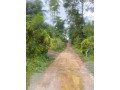perch-40-land-for-sale-in-bulathsinhala-small-1