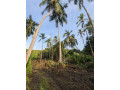 perch-41-land-for-sale-in-tangalle-small-3