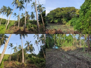 perch-41-land-for-sale-in-tangalle