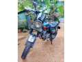 suzuki-volty250-2015-small-1