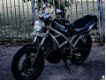 suzuki-bandit-250-small-0