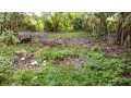 thangalle-land-small-3