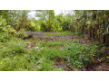thangalle-land-small-1