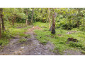 thangalle-land-small-0