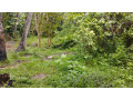 thangalle-land-small-2