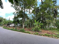perch-42-land-for-sale-in-kadawatha-small-3