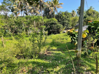 perch-87-land-for-sale-in-kurunegala