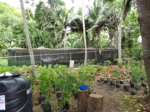 house-for-sale-in-kurunegala-big-3