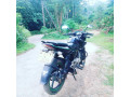 bajaj-pulsar-135-small-3