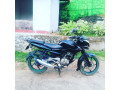 bajaj-pulsar-135-small-2