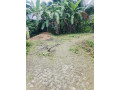 perch-165-land-for-sale-in-veyangoda-small-3
