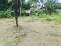 perch-165-land-for-sale-in-veyangoda-small-1