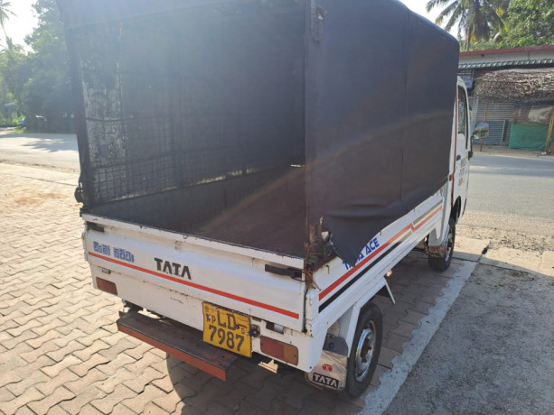 tata-dimobatta-big-2