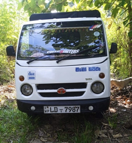 tata-dimobatta-big-1