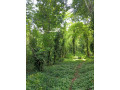 perch-160-land-for-sale-in-middeniya-small-3