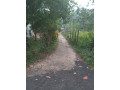 perch-80-land-for-sale-hanwella-small-2