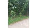 perch-80-land-for-sale-hanwella-small-1