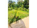 1-acres-land-for-sale-minuwangoda-small-2