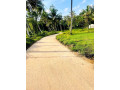 1-acres-land-for-sale-minuwangoda-small-1