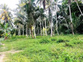 1-acres-land-for-sale-minuwangoda-small-0