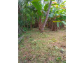 perch-15-8-lands-for-sale-in-gampaha-small-1
