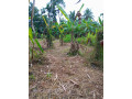 perch-15-8-lands-for-sale-in-gampaha-small-2