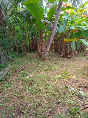 perch-15-8-lands-for-sale-in-gampaha-big-1