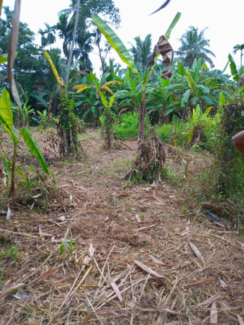 perch-15-8-lands-for-sale-in-gampaha-big-2