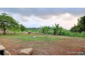 perch-23-land-for-sale-in-biyagama-small-0