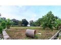 perch-23-land-for-sale-in-biyagama-small-2