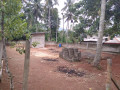 perch-19-land-for-sale-in-matale-small-0