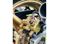 honda-spada-250-registered-small-3