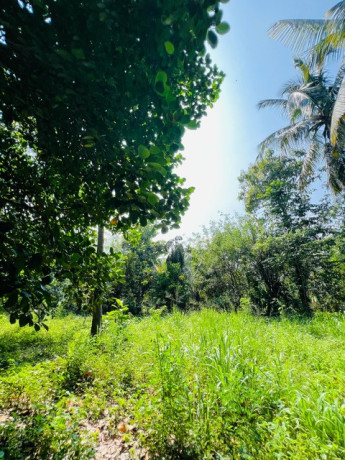 perch-60-land-for-sale-in-wellawaya-big-1